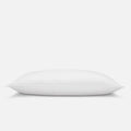 Down Pillow - Standard / Firm